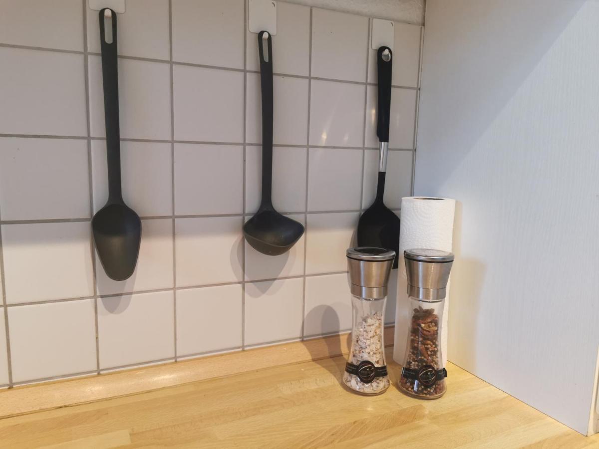 Schoene Und Ruhige Wohnung Direkt An Der Mosel Koblenz  Luaran gambar