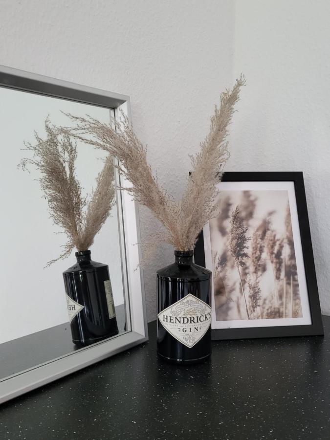 Schoene Und Ruhige Wohnung Direkt An Der Mosel Koblenz  Luaran gambar